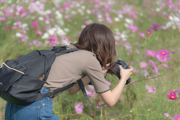 カメラ好きの女性 コスモス畑にて