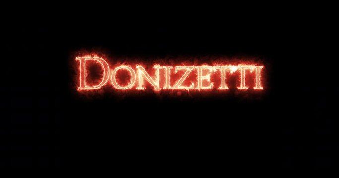 Donizetti written with fire. Loop