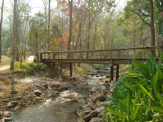 Wooden bridge over a mountain river. The coast is covered with stones and exotic plants. Around the forest with tropical trees. On the left is a narrow path.
