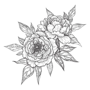 Hand Drawn Floral Bunch with Peony Flowers