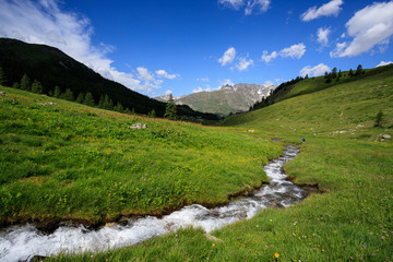 Fototapeta na wymiar torrente a Cheneil, Valtournanche 