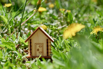 Buying a home outside the city. Miniature wooden house on green grass