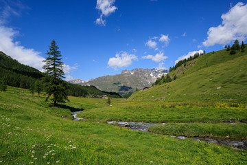 torrente a Cheneil, Valtournanche	