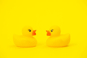 Two rubber ducks in opposite direction. concept of political confrontation, business competition, battle for leadership, fight for victory. Baby bath toys