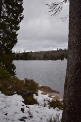 Harz Gebirge am Oderteich