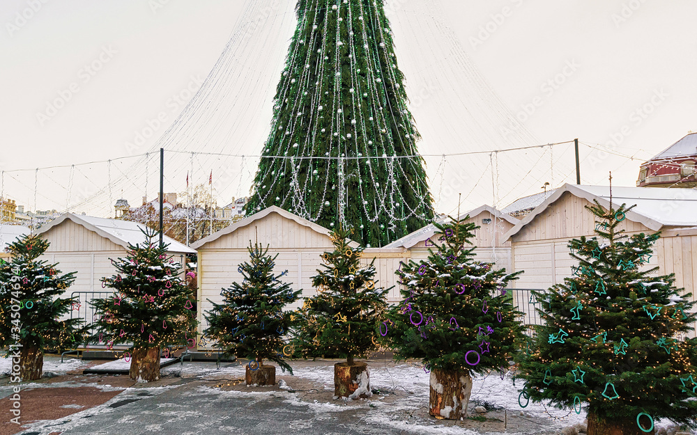 Sticker Christmas trees market with main Xmas tree in Vilnius Lithuania reflex