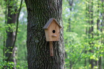 A bird feeder in the form of a house with a wooden roof hangs on a tree. Bird care. Wooden house close-up with copyspace