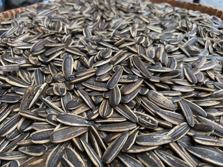 sunflower seeds background
