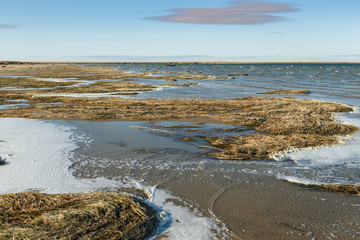 Lake Kamyslybas is a large saltwater lake in Kazakhstan. seaweed on the beach.