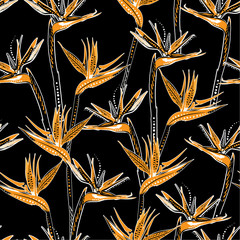 Trendy hand drawn brid of paradise tropical flower in dark tropical mood seamless apttern in vector EPS10 Design feor all prints and all graphic type