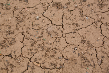 dry cracked earth