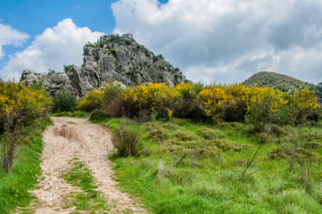 The road connecting the rich wineries to the coast runs through a narrow gap between the rocks....