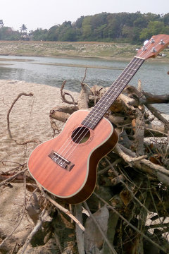 The Best Stock Image of Ukulele Instrument with natural environment, A hand of music. Nature Sounds-Nature Music - nature lovers!