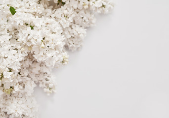 Happy birthday greeting card. Hello spring and summer. Greeting card for Women's Day and Mother's Day. Spring season, copy space.Detail photography of white lilac, macro, spring blooming plant