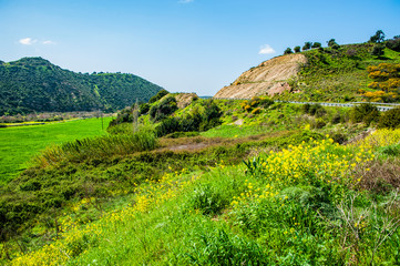 Spring Valley in the Troodos Mountains is an unforgettable joy to see. The bright green of meadows and mountain slopes, numerous flowers and splashes of water in full-flowing rivers attract nature lov