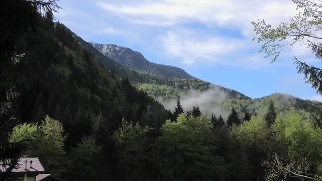 suoni colori della primavera