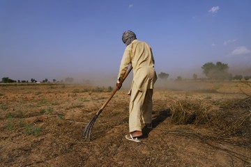 nohar,rajasthan 29 april 2020..Farmers doing work in the field in india