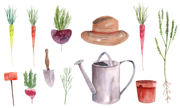 Hand Drawn Watercolor Set Of Vegetables And Garden Tools 