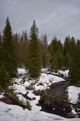 Harz Gebirge am Oderteich
