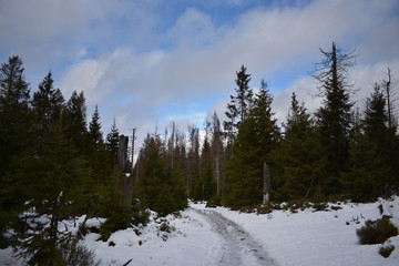 Harz Gebirge am Oderteich