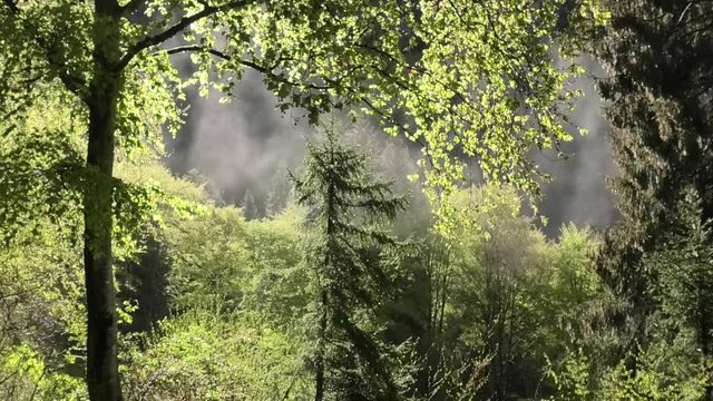 suoni colori della primavera prealpina