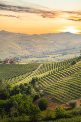 Fototapeta na wymiar Langhe region, Piedmont, Italy. Vineyards landscape in spring - summer.