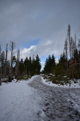 Harz Gebirge am Oderteich