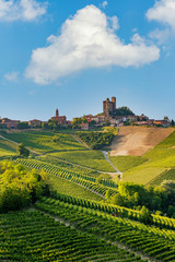 Langhe region, Piedmont, Italy. Vineyards landscape in spring - summer.