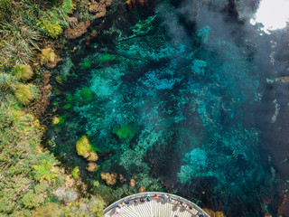 Te Waikoropupū Springs