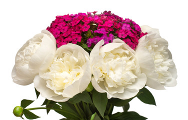 Flower arrangement delicate bouquet peony and carnation isolated on white background. Floral pattern, object. Flat lay, top view