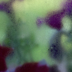 Wet glass. Moist surface.
