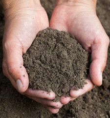 Hands holding black soil. Close-up.