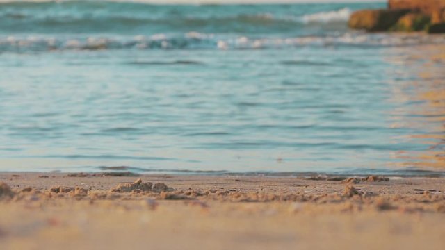 Cinemagraph of the Mediterranean Sea waves rolling the sandy beach at an exotic sunset. Low angle, close up, front view of calm scenery at golden sunrise in Tel Aviv, Israel.