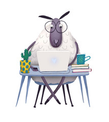 Sheep working a computer illustration isolated on white