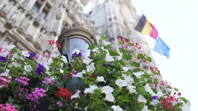 The Historic Brussels townhall with in front a lantern with flowers on a sunny day in the capital of Belgium. A destination for a lot of tourists who visit Belgium.