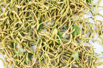 Wild honeysuckle buds dried on white background