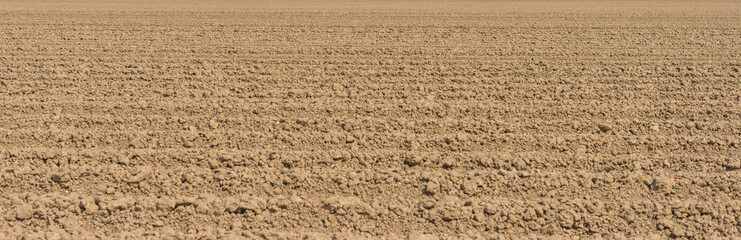 Furrows in a plowed field in sunlight as a bright decorative background in spring