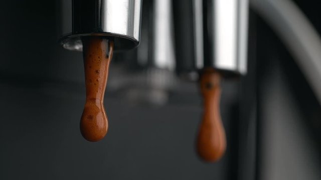 First Fresh Drops of Coffee Flowing out of Espresso Machine&rsquo;s Double Portafilter Spout