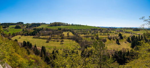 Fototapeta na wymiar orchard of spring tree in the hills on a clear sunny day