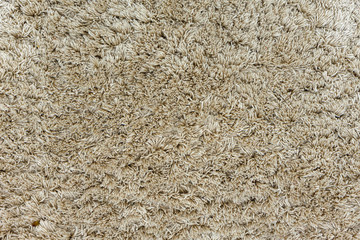 brown carpet texture