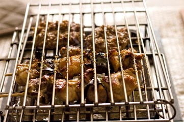 Skewers of meat and sausages cooked with the electric grill (Pesaro, Italy, Europe)