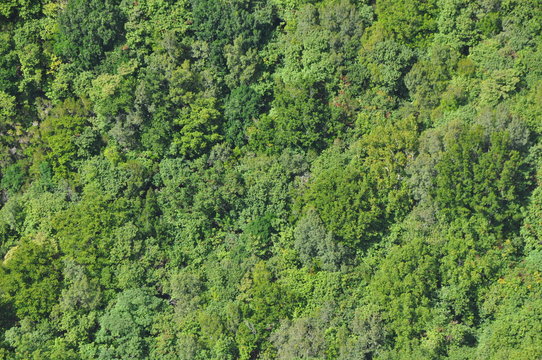 b&auml;ume von oben 