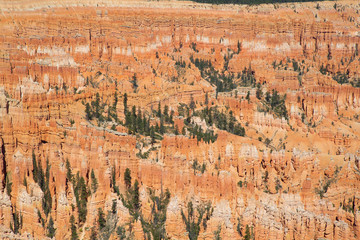 Bryce canyon