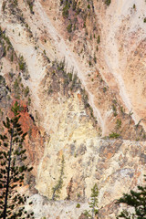 Yellowstone canyon