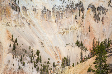 Yellowstone canyon