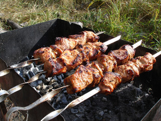 meat on the grill