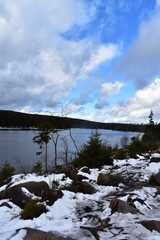 Harz Gebirge am Oderteich