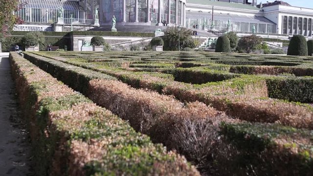 Buxus maze garden in front of Le Botanique in Brussels Belgium 02