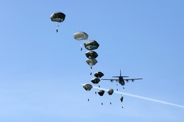 Army paratroopers in jump - obrazy, fototapety, plakaty
