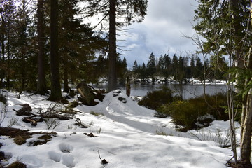 Harz Gebirge am Oderteich